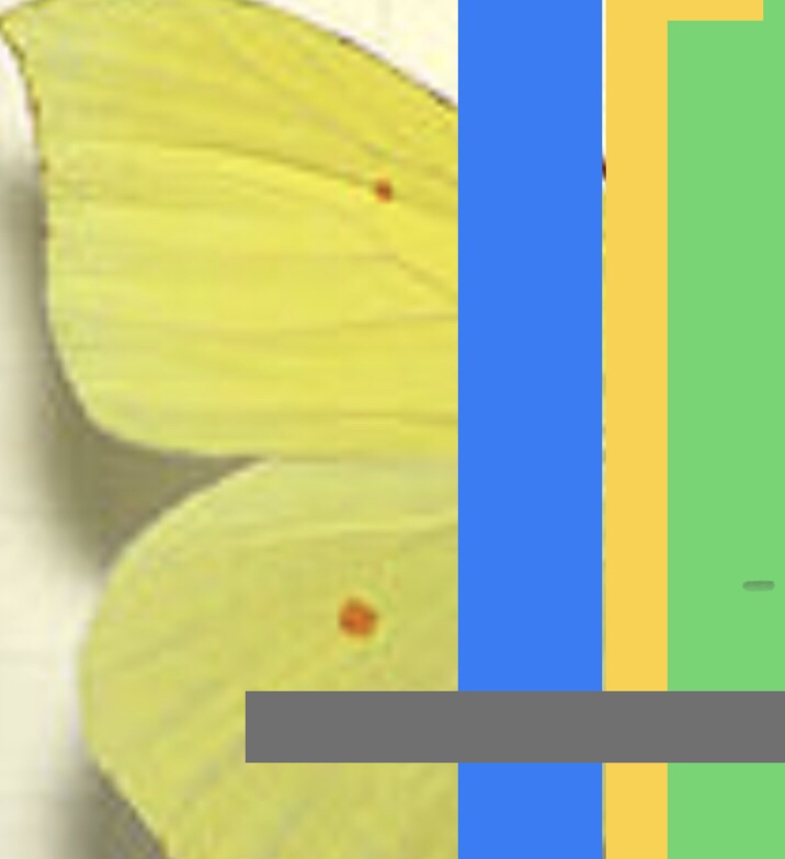 DigitalCollage. Format Rechteck. Von rechts nach links vertikale Balken in grün in gelb und in blau. Bis zur Bildmitte. auf der linken Bildhälfte die Linken Flügel eines gelben Schmetterlings. Vom rechten Bildrand bis zur Bildmitte mit einem kleinen Abstand zur BildBasis ein schmaler grauer Strich. Er greift die Farbe des Schmetterlingsschattens auf.